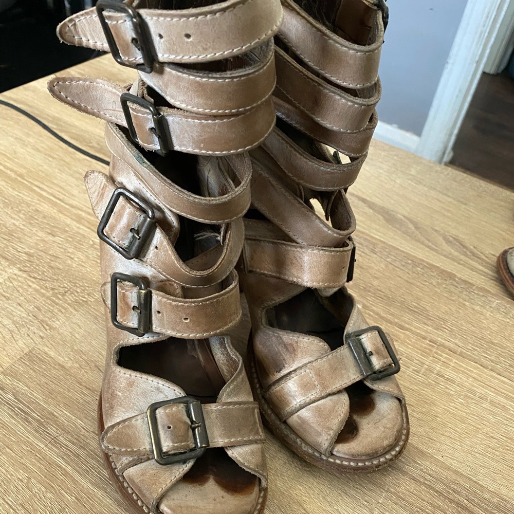 Freebird by Steven Bond